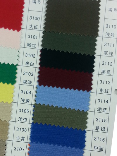 GZ-HGFA CC 72*40 珠帆 後面照